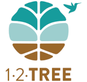 Logo 12Tree