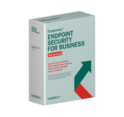 Security for Business
